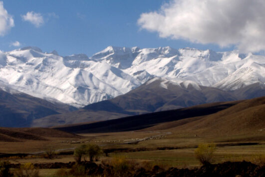 The Caucasus