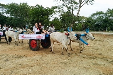 Bullathon, a holiday adventure by Travel Scientists in the real rural India. Explore Tamil Nadu on an ox cart. That's environmentally friendly holiday