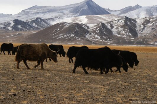 Central Asia